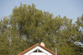 18. Deilbachpokal Bilder